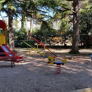 Tek Yatak Odalı Ev